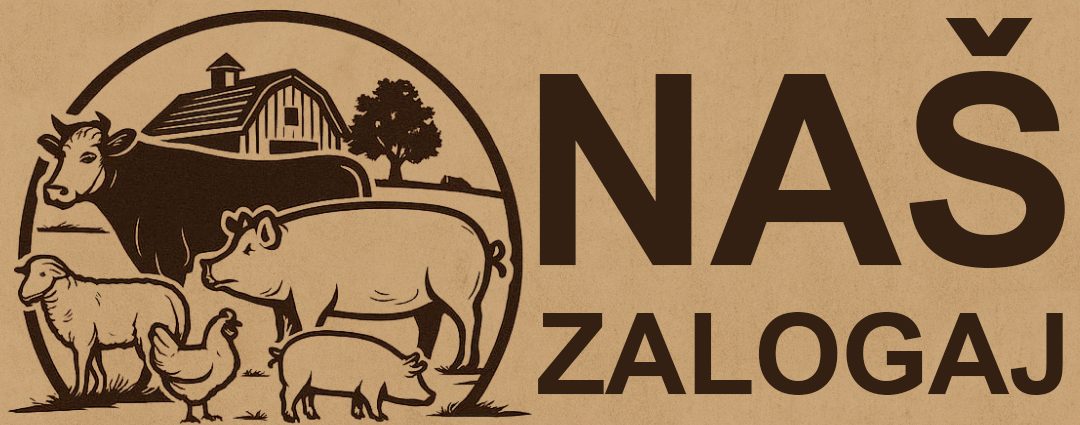 Nas zalogaj